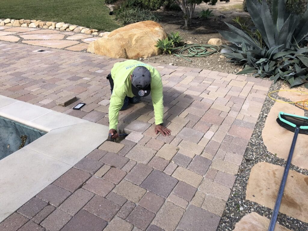 A worker kneels on a brick patio next to a pool, adjusting the bricks. Gardening tools are visible nearby, alongside various plants and rocks in the background.